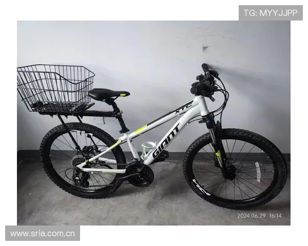 1万元你会买它还是买捷安特自行车？这款全新电摩街车性价比高