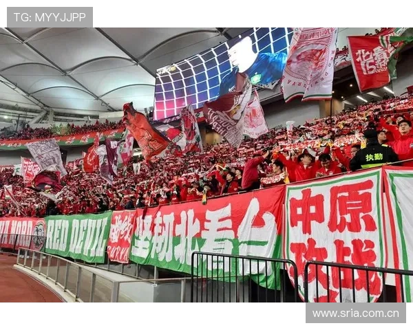 17年足球赛事（2017足协杯决赛集锦）sports