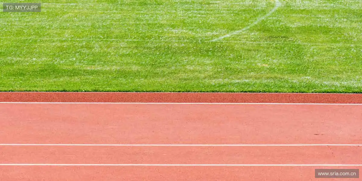 📺 实时解说,带你沉浸式感受赛场心跳!